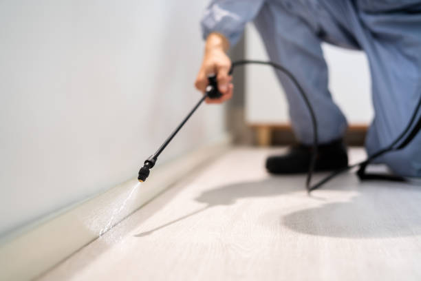 Licensed Pest Control service in Alta Sierra, CA - Show Me Pest Control