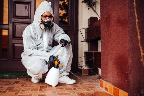 Attic and Crawl Space Rodent Treatment in Alta Sierra